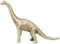 EDU-37357 Skin n Bones Brachiosaurus Model